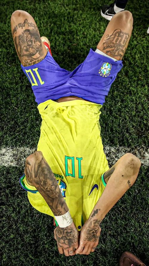 樊振东全运会表现引热议，退出世排新解读（樊振东全运会发挥惹争议：退出世排最新解读）